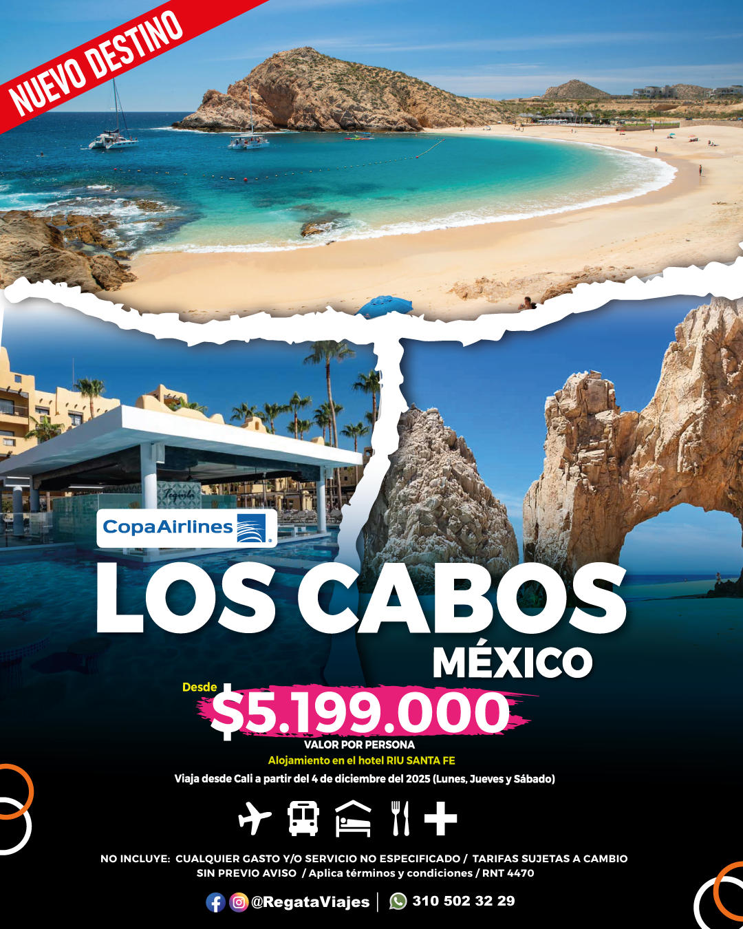 LOS CABOS MEXICOfeed