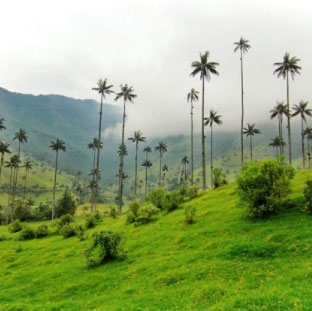 pasadiavalledelcocora