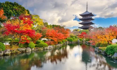 estambul-y-japon-regata01