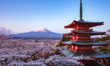 estambul-y-japon-regata02