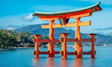 estambul-y-japon-regata03