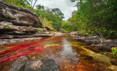 ano-cristales-regata01