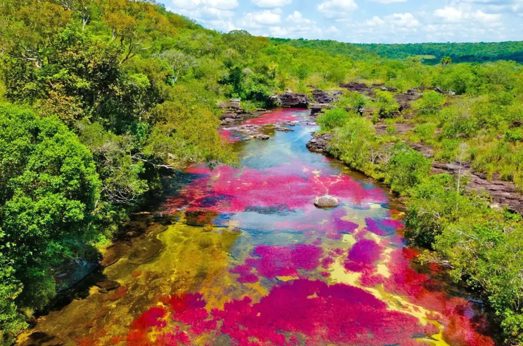 cano-cristales-regata02