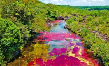 cano-cristales-regata02