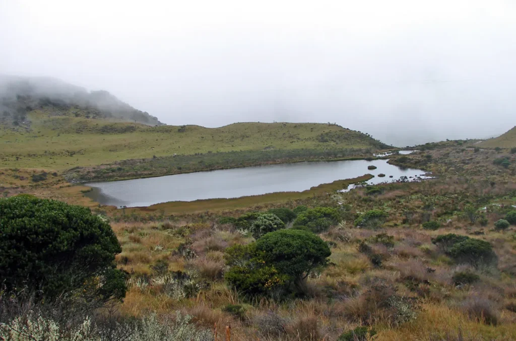 nevado-del-ruiz-regata04