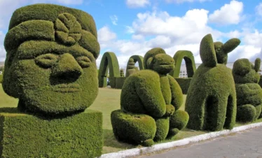 sur-de-colombia-regata04