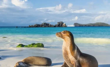 ecuador-galapagos-regata01