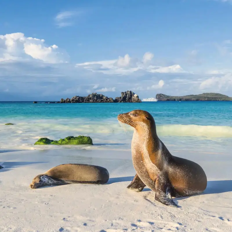 ecuador-galapagos-regata01