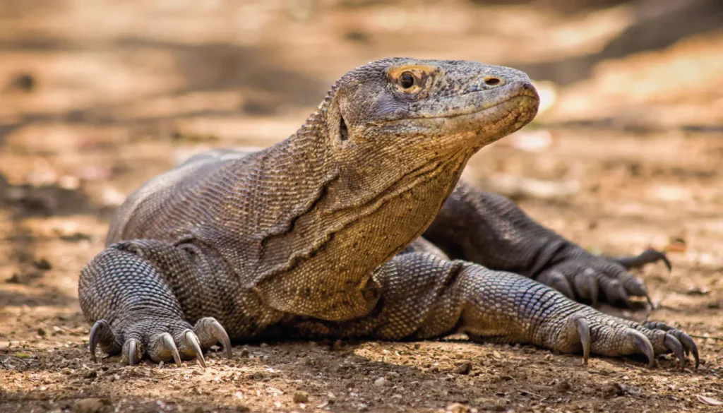 ecuador-galapagos-regata02