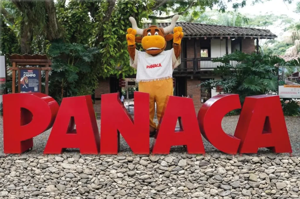 panaca-pasadia-regata01