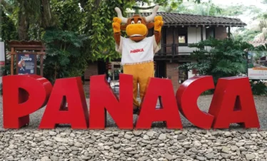 panaca-pasadia-regata01