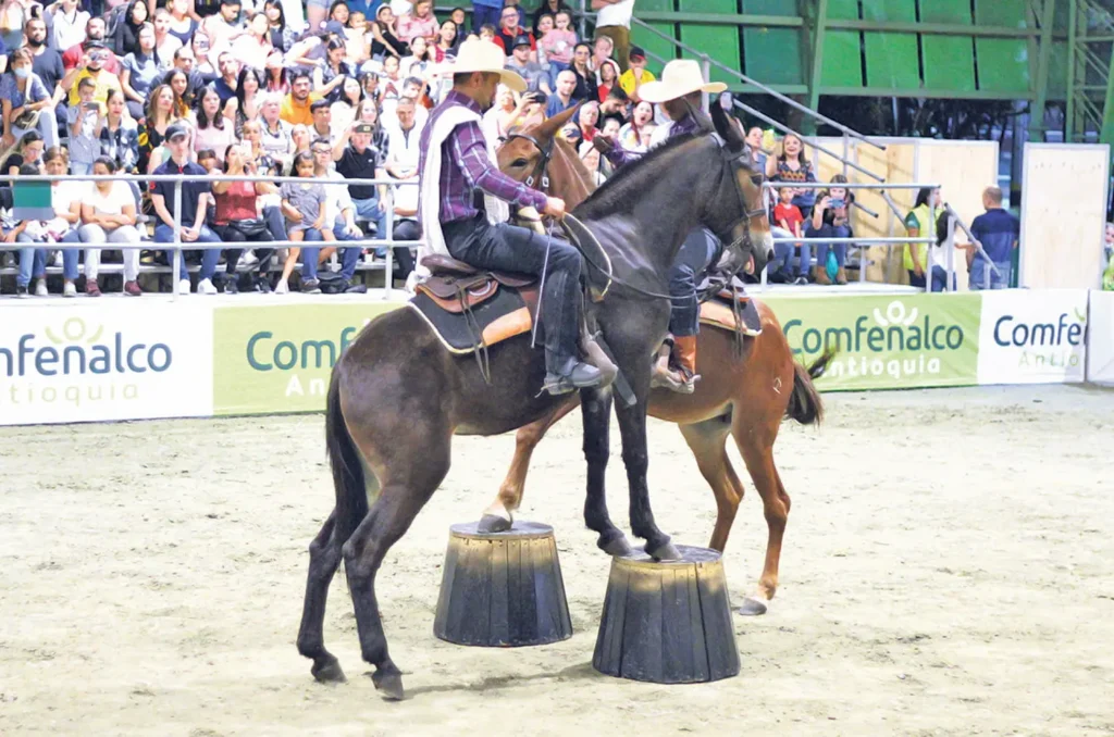 panaca-pasadia-regata02