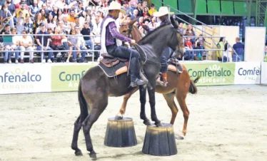 panaca-pasadia-regata02