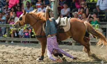 panaca-pasadia-regata03