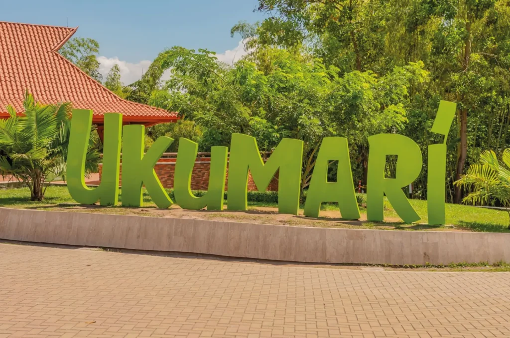 ukumari-pasadia-regata03