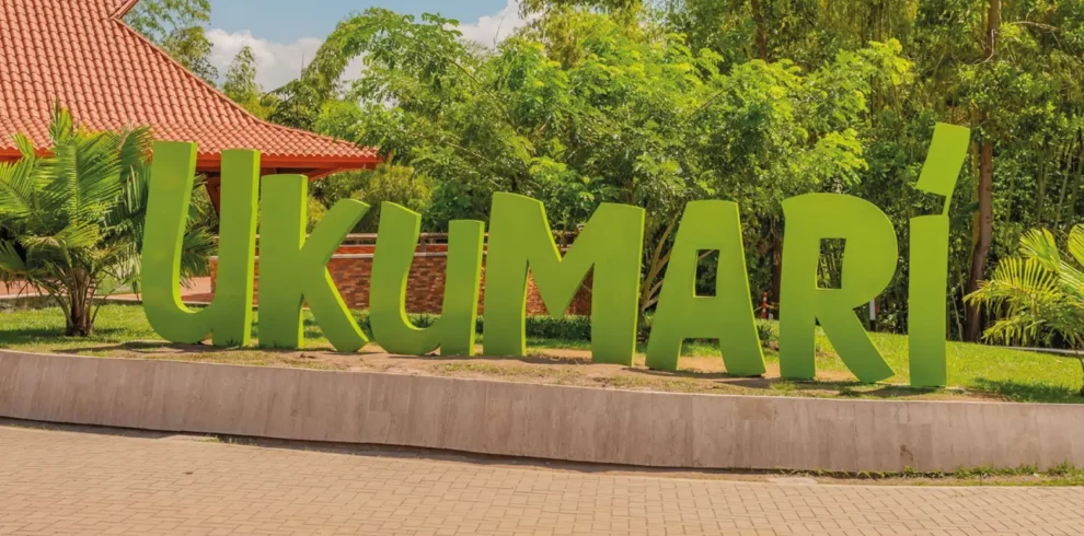 ukumari-pasadia-regata03