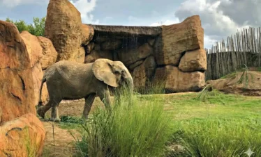 ukumari-pasadia-regata05