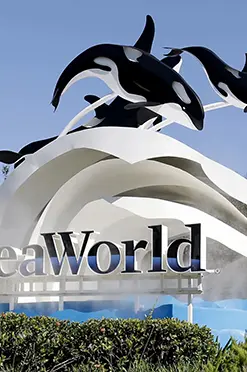 destinos-internacionales-orlando-regata