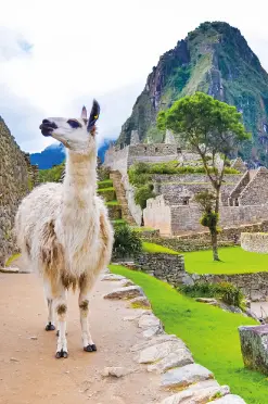 destinos-internacionales-peru-regata