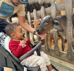 destinos-nacionales-pananca-regata