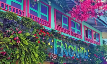 encanto-cafetero-regata03