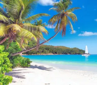 internacionales-jamaica-regata