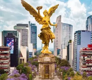 paginas-mexico-regata