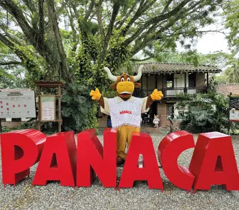 pasadias-panaca-regata