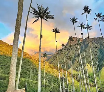 pasadias recomendados salento valle del cocora regata