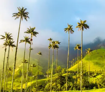portada-quindio-regata
