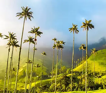 portada-valle-del-cocora-regata