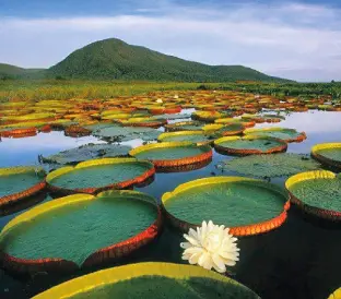 san-andres-otros-destinos-amazonas-regata