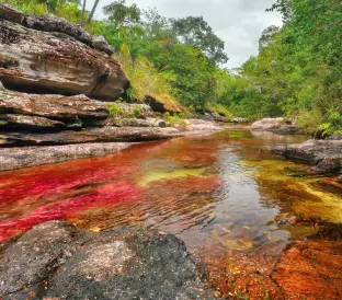san-andres-otros-destinos-cano-cristales-regata