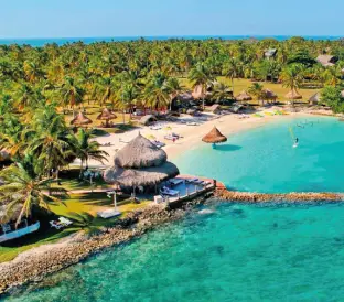 services-covenas-regata