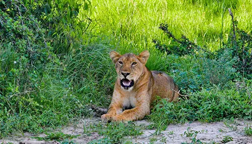 viajes-actividades-aventuras-exoticas-regata